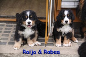 Raija und Rabea 9 Wochen