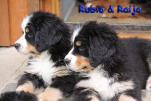 Rubio und Raija 2